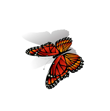 C:\Users\School\Desktop\РОЗРОБКИ\картинки\depositphotos_89311254-stock-illustration-the-monarch-butterfly-vector.png